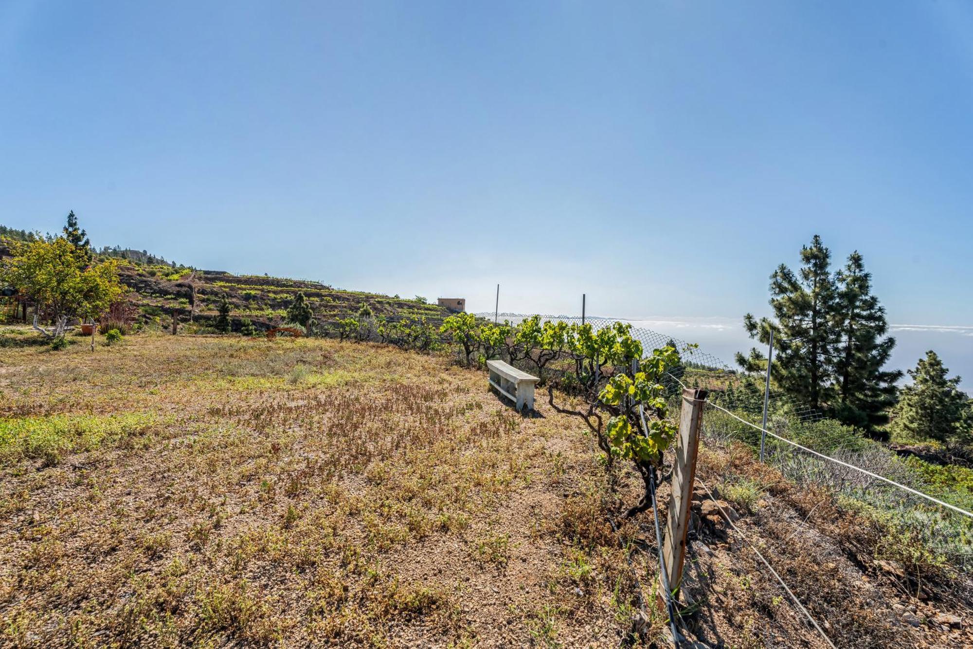 Land Of Dreams Villa Vilaflor Exterior photo